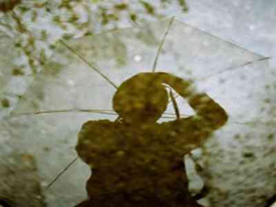 江铃汽车：前10月销量2942万辆，同比增长777%