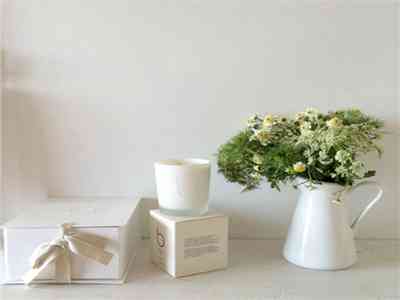 【网通社快报】一汽奔腾悦意08亮相：纯电_增程双动力智能轿跑