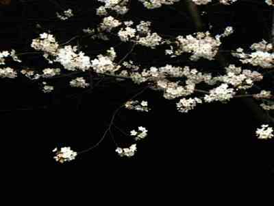 【网通社快报】小鹏X9超级增程版预售价公布：35万元起，本月上市