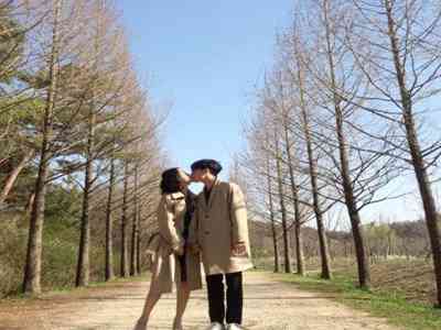 高速免费通行时间表