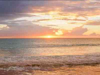 天成自控：子公司获国内知名汽车企业乘用车座椅总成项目定点