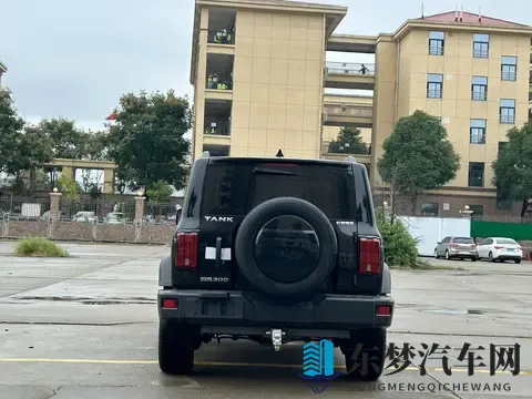 少妇xxx：年轻母亲,生活记录与分享