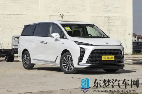 2025款别克GL8选买指南:直降43万后,电动门分界点在这-2