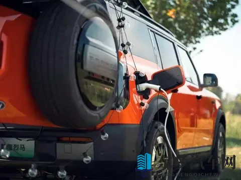 天天干天天干天天干：日复一日，持续不懈努力