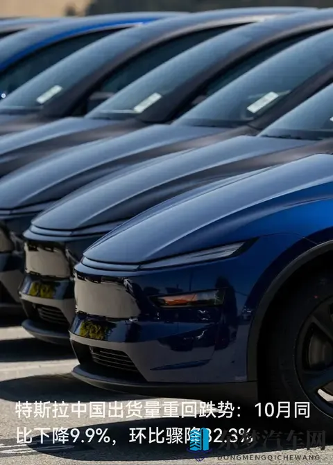 特斯拉10月出货量骤降三成：海外需求冷了，政策红利没了？-1