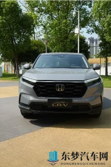 真人床上拔萝卜：床上互动游戏，趣味拔萝卜-2