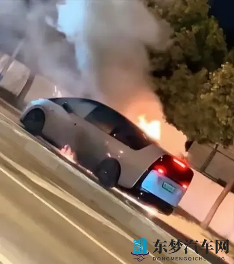 理想MEGA起火，召回11411台：一场本可避免的“冷却液危机”？