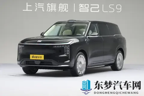 新车  预售权益价3369万元起_竞争问界M9，智己LS9开启预售-3