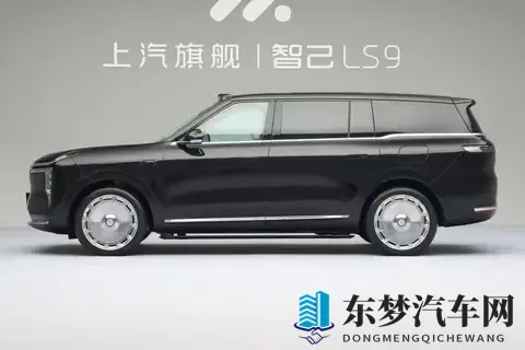 智己LS9预售炸场：33万级大型SUV，凭什么抢理想L9、问界M9的蛋糕-2