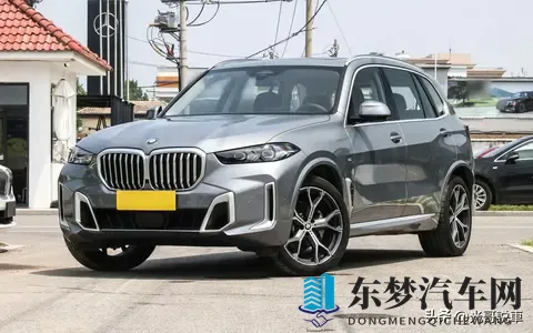 真惨，1-9月中大型SUV销量榜，理想L6夺冠，X5第5，探陆第35名。-2