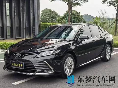 免费黄色软件下载安装：汽车助手软件：安全出行新利器，轻松升级驾驶体验