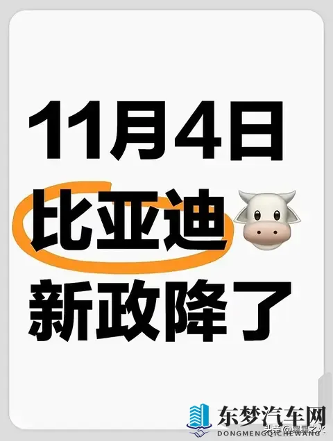 刚开完会:比亚迪全系新政,大跳水!💥-1