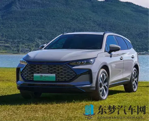 黄色3.03：探讨神秘代码：3.03版本解析