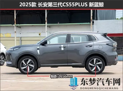 五月丁香六月婷婷激情：五月花季丁香香，六月婷婷激情扬-3