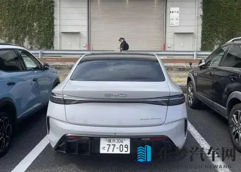 東京热成人网站：东京街头调查揭示驾驶分心危机-2