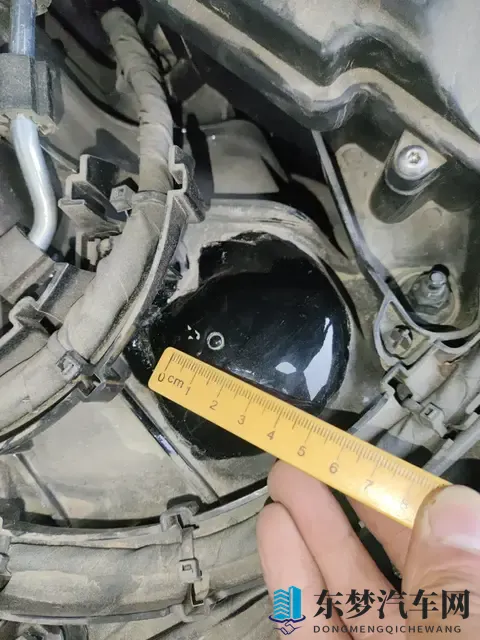 绿巨人丝瓜：新能源汽车崛起，绿色出行新选择-1