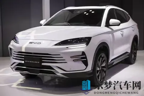 在日本，什么人在买电动车？探秘岛国EV消费的独特生态-2