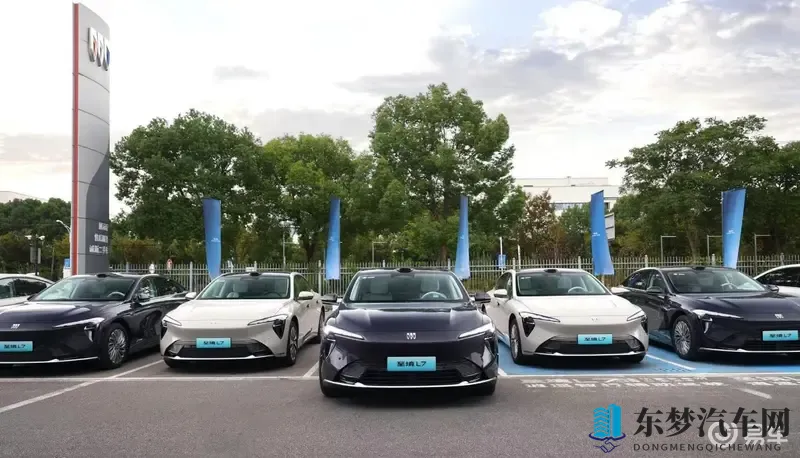 日本免费wwwxx:新能源汽车崛起,日本汽车产业创新升级-2