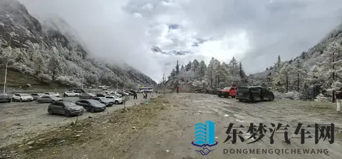 新车已跑1万公里，说说感受-3