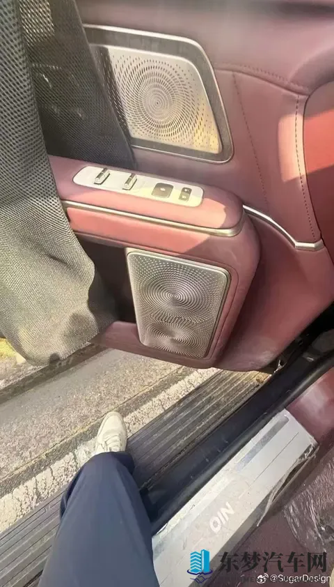 蔚来ES9内饰门板疑似曝光：暗红配色 还有脚踏板-2