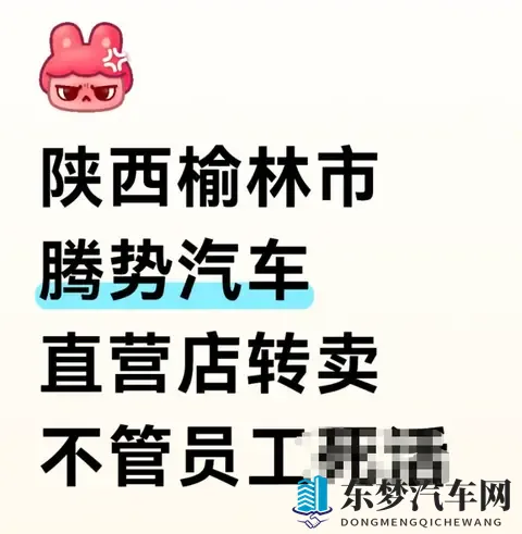 腾势直营门店“腾退”？销售曝料渠道转经销商，官方尚未回应-2