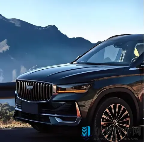 2025年SUV销量榜出炉！Model Y稳坐第一，这两款车竟成黑马-2