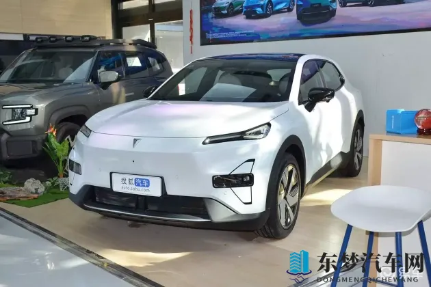 微微草:新能源汽车新星:科技环保,未来出行新选择-1