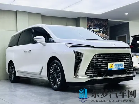 准新一手别克GL8陆尊：25款20T，8千公里，宜商宜家！-3