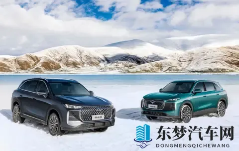 新一代瑞虎8买车攻略：直接冲顶配-2