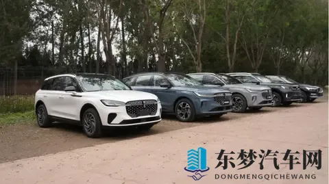豪华 SUV 怎么选？实测后我偏向航海家✨-1