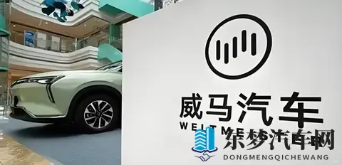 威马“物理复活”只是第一步，“市场复活”才是终极目标-1