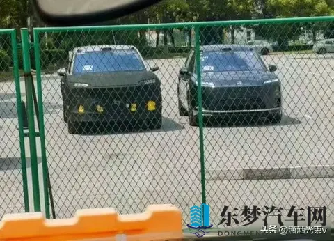 欧美成人精品无码 网站：西方影视佳作,高清视觉盛宴