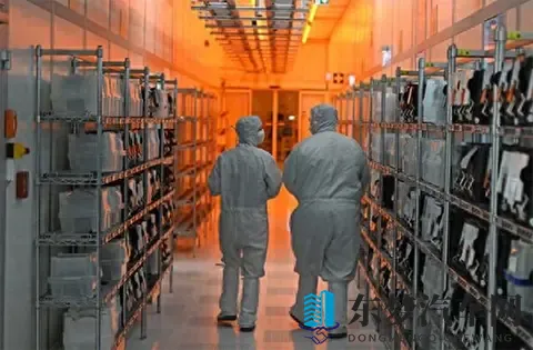 荷兰闯祸！全世界跟着买单-1