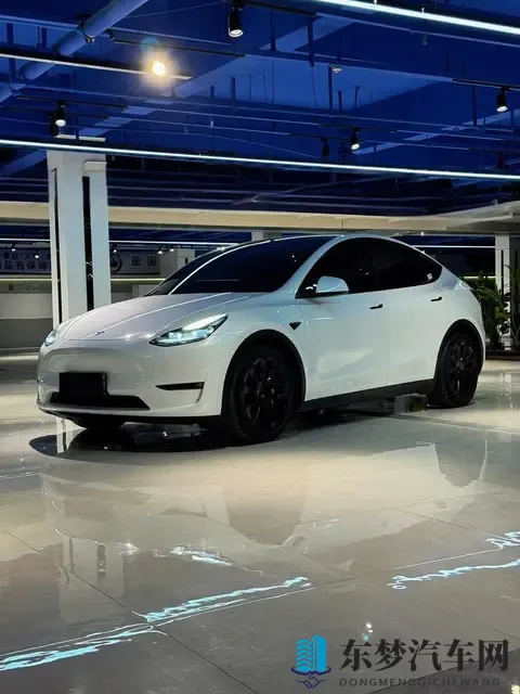 15万买二手百万特斯拉？看似捡漏，却可能是个坑！-2