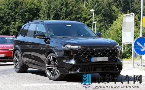 中文成人av：华夏情色影像,内地自制影片