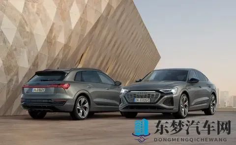 Q8 E-Tron阵亡后的“答卷”：奥迪2026的现实与无奈-2