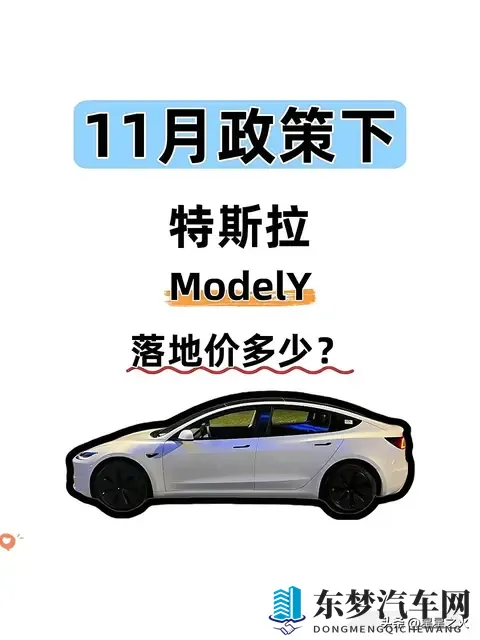 11月政策下特斯拉ModelY落地价算好了！速看-1