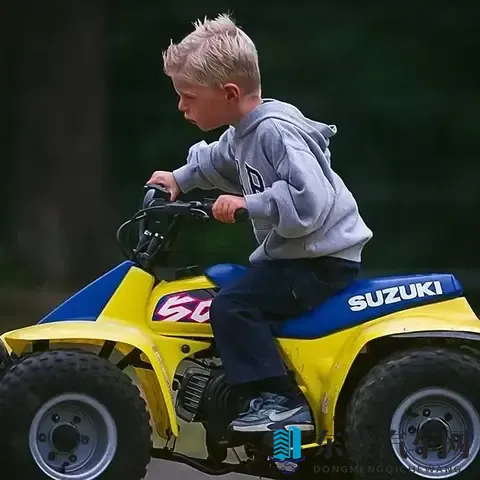 F1人物传：围场里最疯狂的人——马克斯·维斯塔潘-2