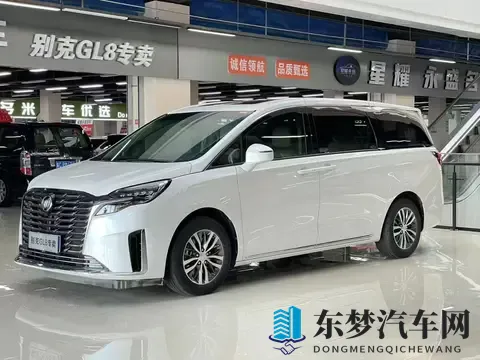 24万拿下准新一手别克GL8陆尊，宜商宜家！-3