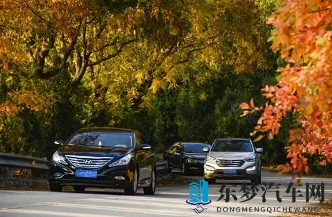 黄色软件下载网站：提供成人内容软件下载平台