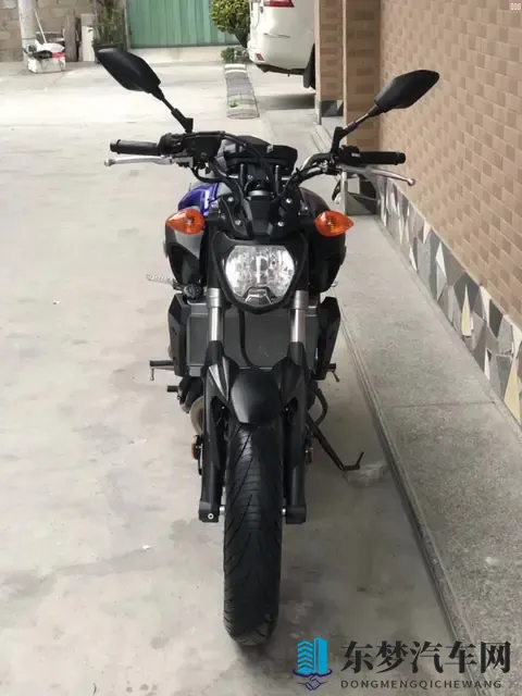 10大摩托车品牌终极解析：哈雷_本田_宝马谁是你的菜？