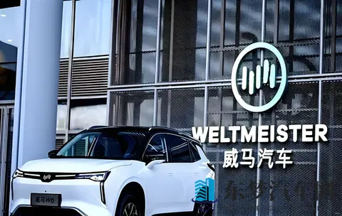 威马“物理复活”只是第一步，“市场复活”才是终极目标-3