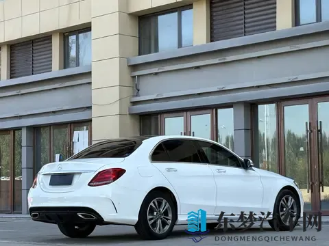 真实国产乱伦:中国汽车市场,技术路线博弈正酣-2