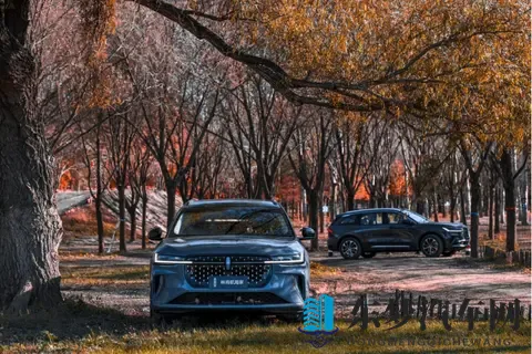 豪华 SUV 怎么选？实测后我偏向航海家✨-2