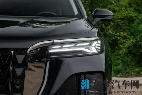 选国产 C + 级豪华轿车?红旗 H9 这 7 款车,先看你是家用还是商务-2