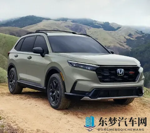 本田皓影这回可是栽大跟头啦-1