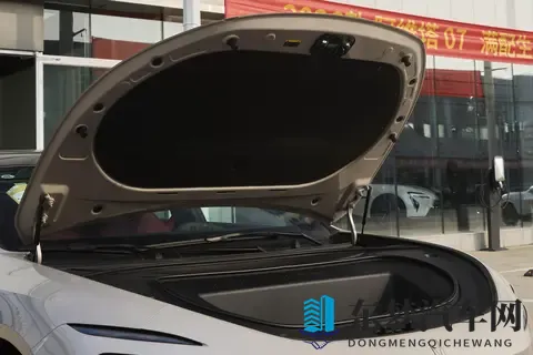 豪华中大型车备选清单必看：阿维塔12 2026款四激光版深度解析-2