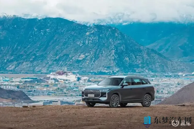 新瑞虎8电感体验，重塑燃油车魅力