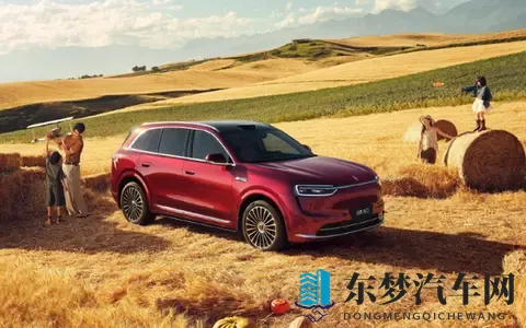 问界销售：鸿蒙智驾无忧保险很有用 能看出品牌底气