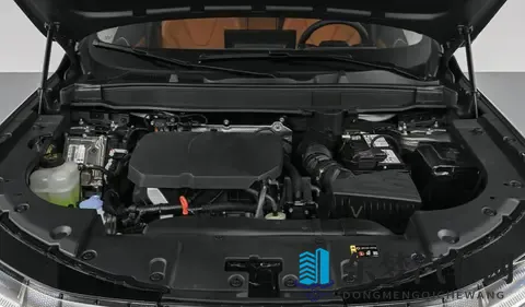 黄色软件园：数字时代如何避开汽车资讯陷阱-1